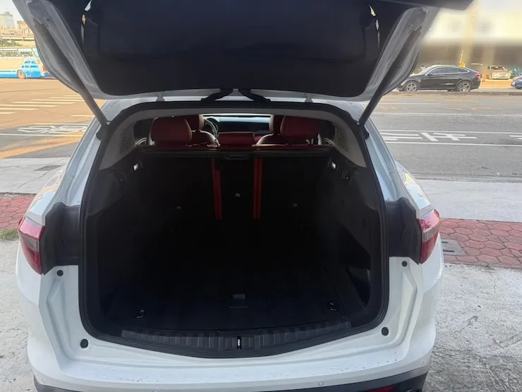 2019 Alfa Romeo Stelvio Q4 義式跑旅 - 5